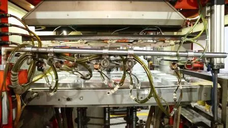 Vassoio blister personalizzato per imballaggio di giocattoli opachi per animali domestici neri con coperchio trasparente