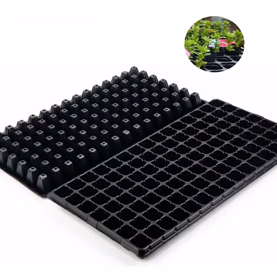 Vassoi per piantine in materiale PVC a basso costo