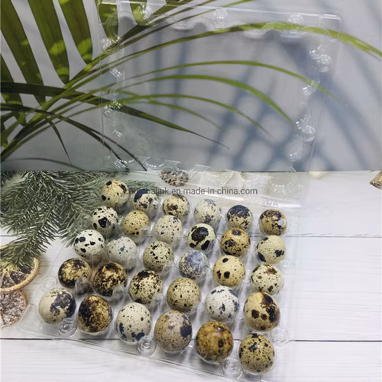 Vassoio per imballaggio di uova di quaglia in plastica trasparente per animali domestici con blister da 20 fori
