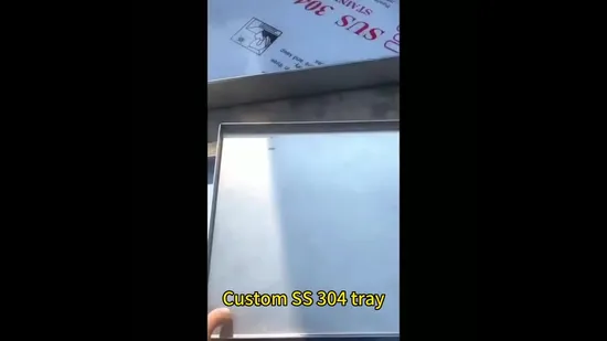 Vassoio per orinatoio per animali domestici personalizzato in acciaio inossidabile