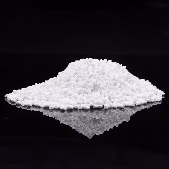 Confezione di scatole per torte con vassoio PS per sushi da asporto Confezione all'ingrosso di scatole rotonde di diverse dimensioni Vassoio in PP con coperchio per animali domestici