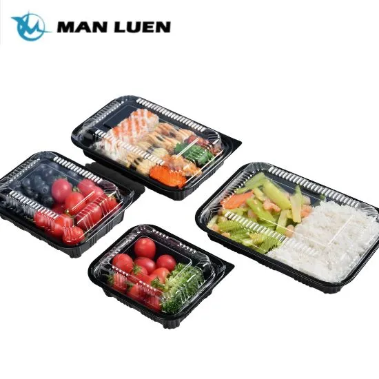 Scatola da pranzo rettangolare in plastica da asporto